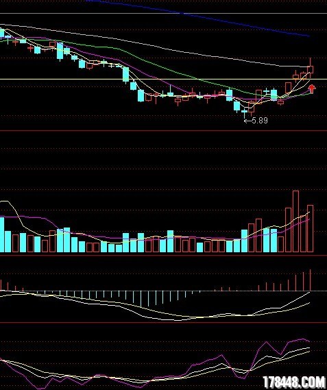 资本市场_自有资本 收入计算(2)
